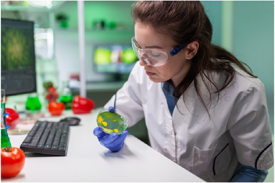 biology assignment help
